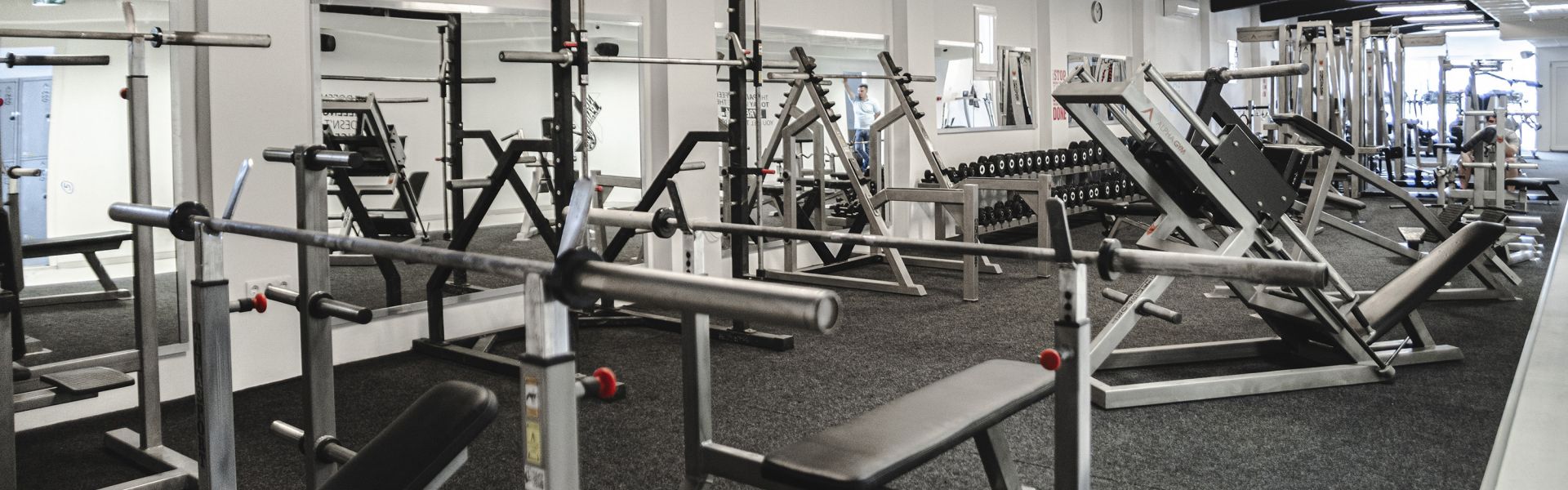 Alpha gym deals